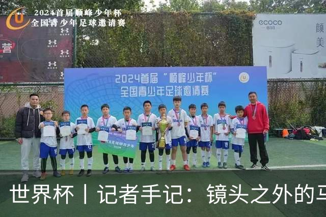 世界杯丨记者手记：镜头之外的马宁